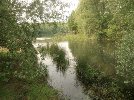 Moers : Wanderung rund um den Waldsee 